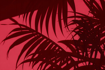Deep red tropical palm leaves silhouetted against a vibrant background