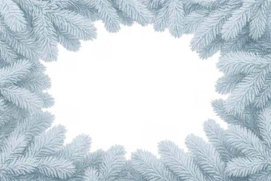 White pine branch frame creating a border for christmas, winter, and holiday design, transparent background