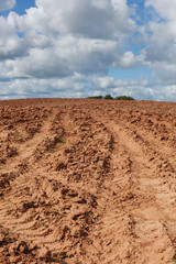Brown land and white clouds.