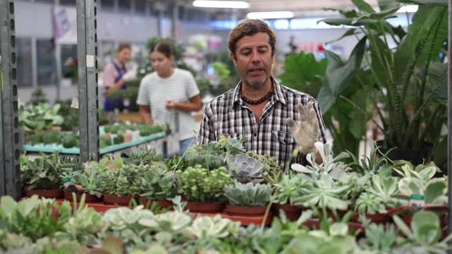 Male flower supermarket worker examines pallet of succulent to detect problematic plants. New employee of department of ornamental plants to get acquainted with assortment of goods