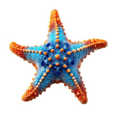 Blue and orange starfish png sea star png marine png ocean png beach png sea life png coastal png aquatic png nature png underwater png transparent background image