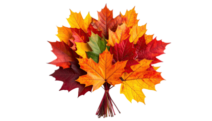 Colorful bouquet of fall maple leaves tied with string