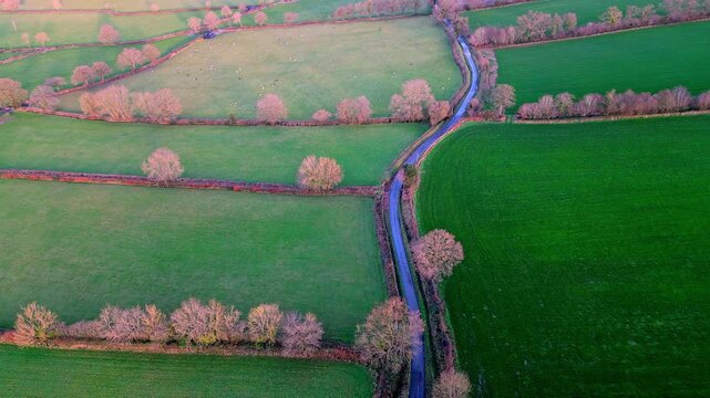 Aerial drone footage following a country lane in Devon, UK flanked by bare winter trees