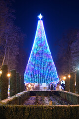 Christmas tree lights in the park