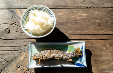 grilled Ayu sweetfish on the dish at japan