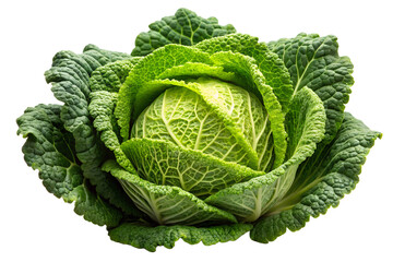 Obraz premium Fresh Savoy Cabbage PNG | Whole Crinkled Cabbage Isolated on Black Background