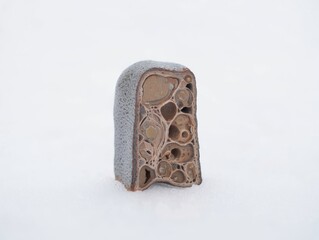 Cross section of a biological specimen in a container