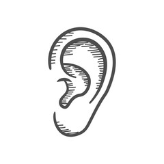 Hand-drawn Sketch of a Human Ear