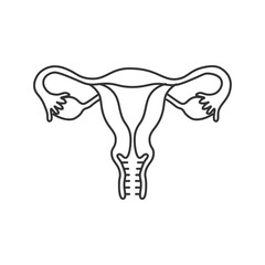 Female Reproductive System Line Art