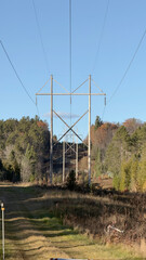 high voltage power lines on a sunny day in the autumn forest