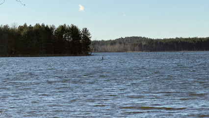 A lake on a clear, windy day in autumn