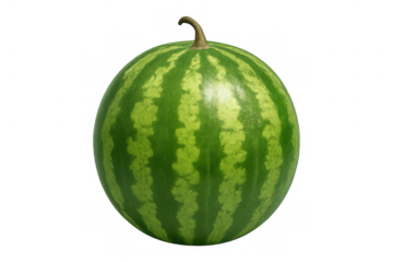Whole fresh green watermelon with dark stripes, a summer fruit, healthy sweet refreshing food, isolated with transparent background