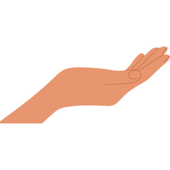 Open Left Hand Palm Facing Up In A Light Peach Skin Tone With Subtle Finger Details Against A White Background Representing Giving Receiving Or Support