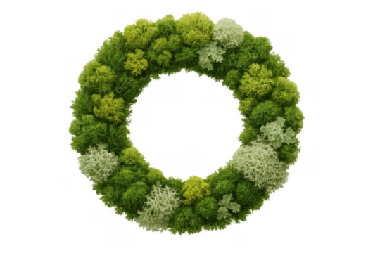 Mixed green and white moss wreath showing natural circular decoration on a transparent background, perfect for rustic events