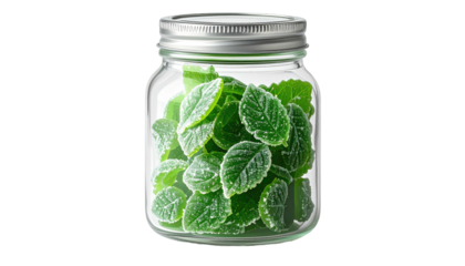 Fresh, green leaves fill a mason jar with a silver lid