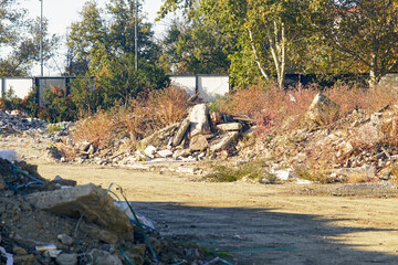 Overgrown demolition site with concrete chunks and wild vegetation reclaiming urban space. Symbolizes nature’s resilience, abandoned construction lot, urban decay, and a forgotten development project.