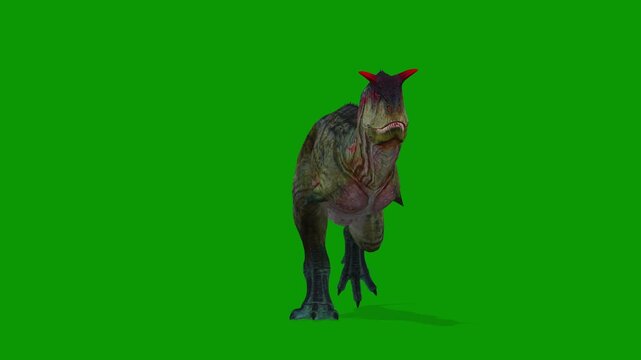 3D Carnotaurus Dinosaur Animation Run Fast Front Side