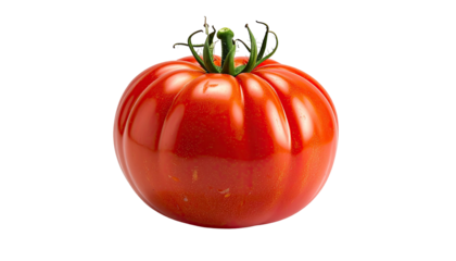 Ripe heirloom tomato with green stem on a dark background