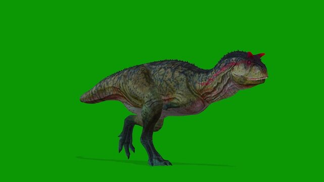3D Carnotaurus Dinosaur Animation Run Fast Right Side