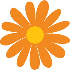 Orange Daisy Flower With Yellow Center Isolated on Transparent Background Simple Botanical Illustration Graphic Design Element