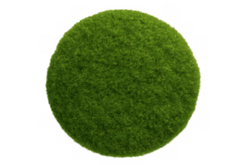 Green grass sphere or mini globe creating a nature and ecology concept on transparent background