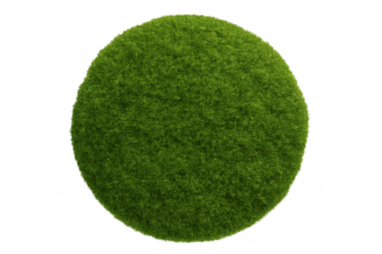 Green grass sphere or mini globe creating a nature and ecology concept on transparent background