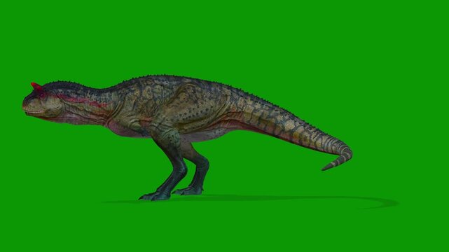 3D Carnotaurus Dinosaur idle Scene From Left Side