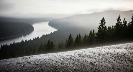 Aerial view of serene river winding through a foggy forest landscape on a grey day