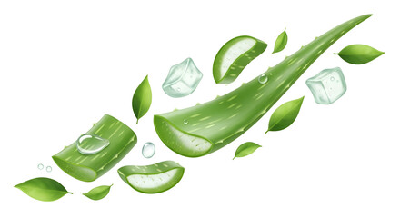 Sliced aloe vera leaves with ice cubes and green leaves on black plant succulent