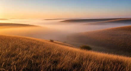 Rolling hills bathed in golden sunlight, with low-lying fog creating an ethereal atmosphere