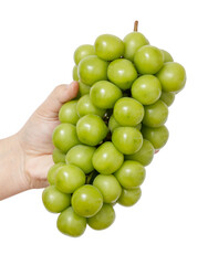 Fototapeta premium A hand holding a bunch of green grapes
