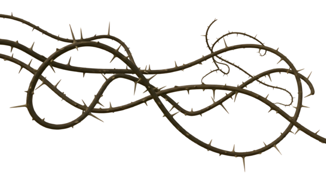 Thorny brown branches intertwined against black background thorny branches dark