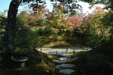 A stroll through a Japanese garden where the leaves are beginning to change color / 木々の紅葉が色付き始めた回遊式の日本庭園を散歩する風景