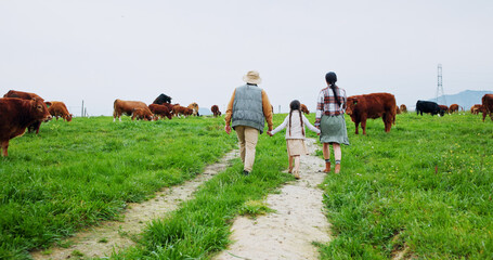 Farm, cows and back of parents with child in field for bonding, sustainability and agriculture....