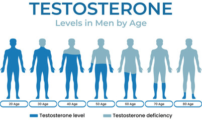 Age-Related Testosterone Levels and Deficiency in Men Infographic