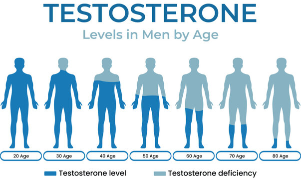 Age-Related Testosterone Levels and Deficiency in Men Infographic