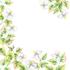 Green and pink heart-shaped leaves with white flowers, watercolor clipart, hand drawn, square floral frame. Perfect for invitations, greeting cards, packaging, and digital scrapbooking