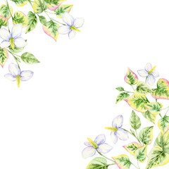 Cluster of watercolor clipart flowers with green and pink heart-shaped leaves forming a floral frame, hand drawn. Ideal for invitations, cards, labels, wall art, and packaging accents