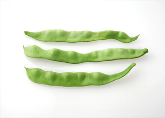 　モロッコインゲン　　　スタジオ撮影　