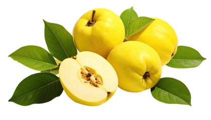 Quinces group of yellow fruits, leaves; one cut exposing seeds