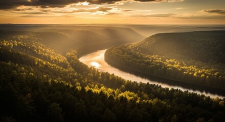 Aerial view captures a winding river flowing through a lush, verdant forest, bathed in warm sunlight