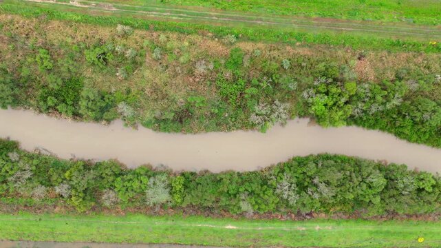 Directly overhead drone shot showing the muddy, winding path of a canal bordered by dense, varied green vegetation in Argentina.