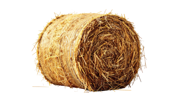 Hay bale, golden-brown, round, straw-like against black ground