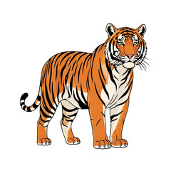 Naklejka premium Magnificent Bengal Tiger Standing Tall With Striking Stripes Vector Illustration Artwork