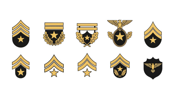 Collection of military insignias representing rank and awards honoring distinguished service and