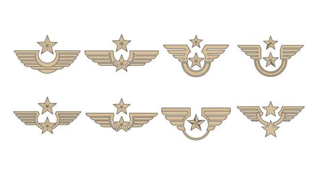 Variations of winged star emblems representing achievement, success, and recognition