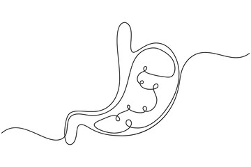 Obraz premium Stomach anatomy continuous one line drawing on white background minimalist digestive organ outline vector illustration