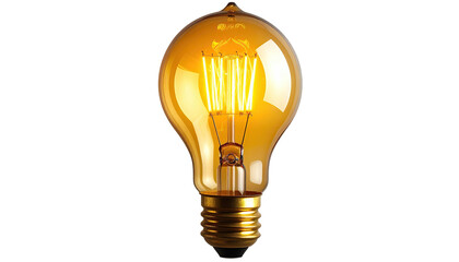 Lit amber bulb shines, filaments glow, against black backdrop