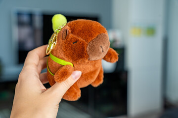Plush capybara toy held in the hand of a teenager. Capturing a viral Gen Z trend and emotional...