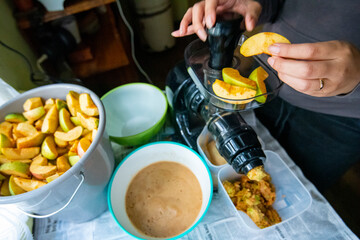 Organic Apple Juicing on a Farm
